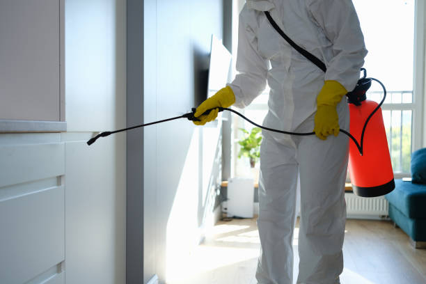 Best Residential Mold Removal  in Bloomer, WI