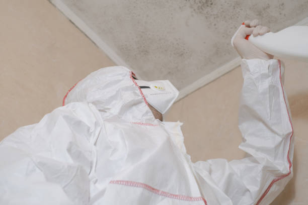 Best Certified Mold Removal  in Bloomer, WI
