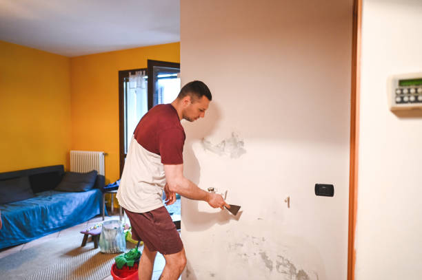 Best Residential Mold Removal  in Bloomer, WI